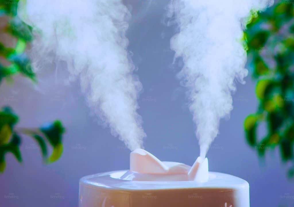 Hình chụp về máy tạo độ ẩm